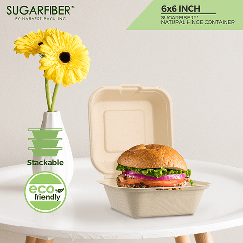 Sugarfiber™ 6x6 inch Square Hinged Container PFAS Free - Image 3